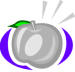 Platinum Apple Agency