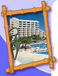 Bamboo Resort Photo