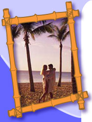 Bamboo Resort Photo Bamboo Resort Photo