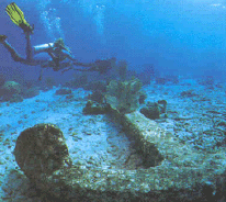 Diving Curacao