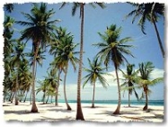 Punta Cana Beach