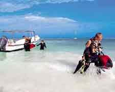 Palladium Grand Scuba