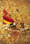 Breezes Bahamas Windsurfing