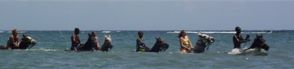 Chukka Cove Horseback Riding