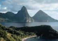 Crown Dynasty St. Lucia