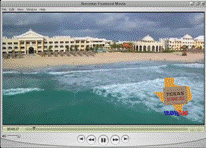 Live Video Screenshot