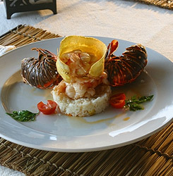 Azul Fives, by Karisma has great deals from couples looking to enjoy amazing five star cusine at an all inclusive resort, or families looking to have a memorable meal together