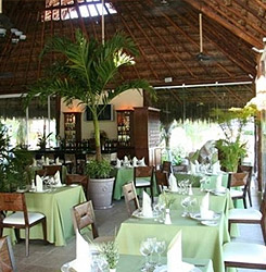 El Dorado Seaside Suites has great deals from couples looking to enjoy amazing five star cusine at an all inclusive resort