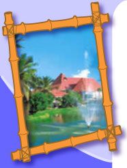 Bamboo Resort Photo