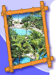 Bamboo Resort Photo Bamboo Resort Photo