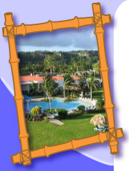 Bamboo Resort Photo