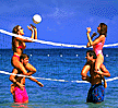 Hedonism II Volleyball